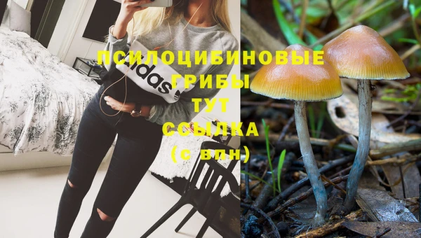 прущая мука Алзамай