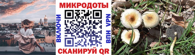 Галлюциногенные грибы Psilocybine cubensis  Уяр 
